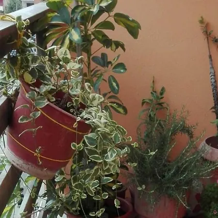 Sweet - Frühstückspension Yzberishti