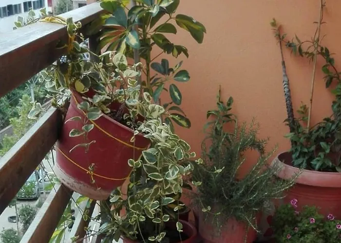 Sweet - 住宿加早餐酒店 Yzberishti